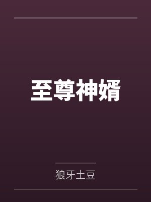 至尊神婿封面