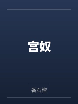 宫奴封面