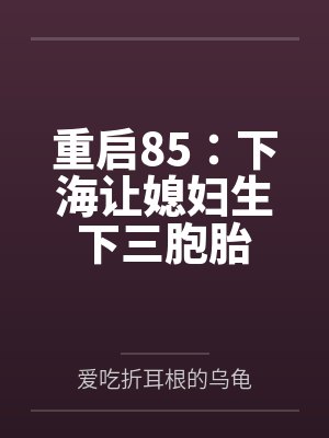 重启85：下海让媳妇生下三胞胎笔趣阁无弹窗封面
