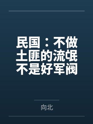 民国：不做土匪的流氓不是好军阀封面
