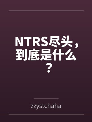 NTRS尽头,到底是什么?封面
