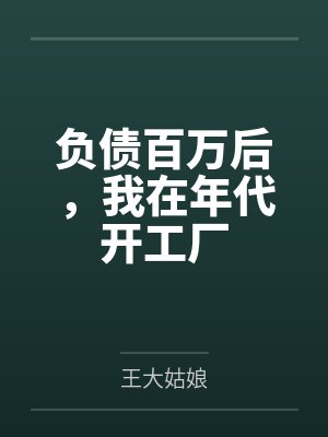 负债百万后,我在年代开工厂封面