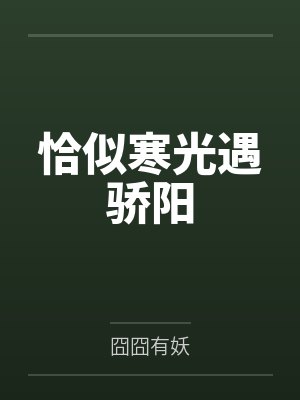 恰似寒光遇骄阳封面