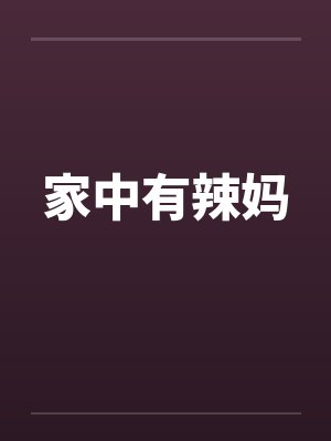 家有辣嫂是什么电视剧封面