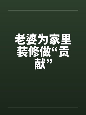 老婆为家里装修做“贡献”封面