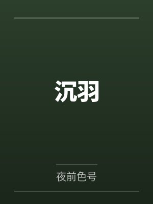 沉羽封面