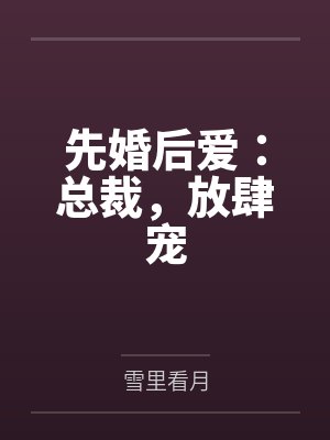 先婚厚爱总裁别放肆封面
