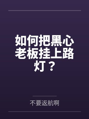 如何把黑心老板挂上路灯？封面